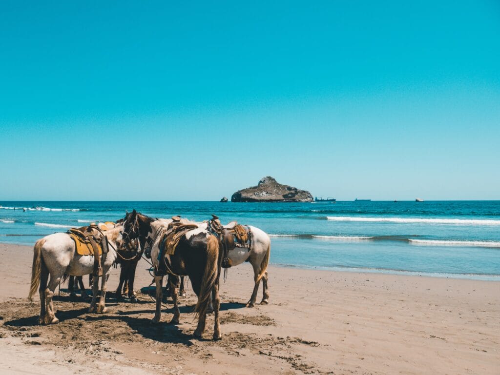 daniel-apodaca-bOp9iPHzkjM-unsplash